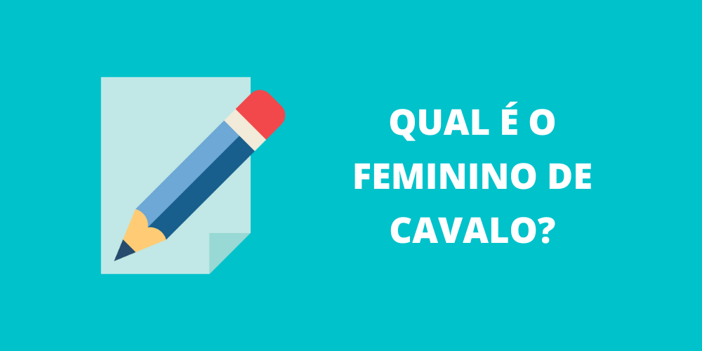 feminino de cavalo