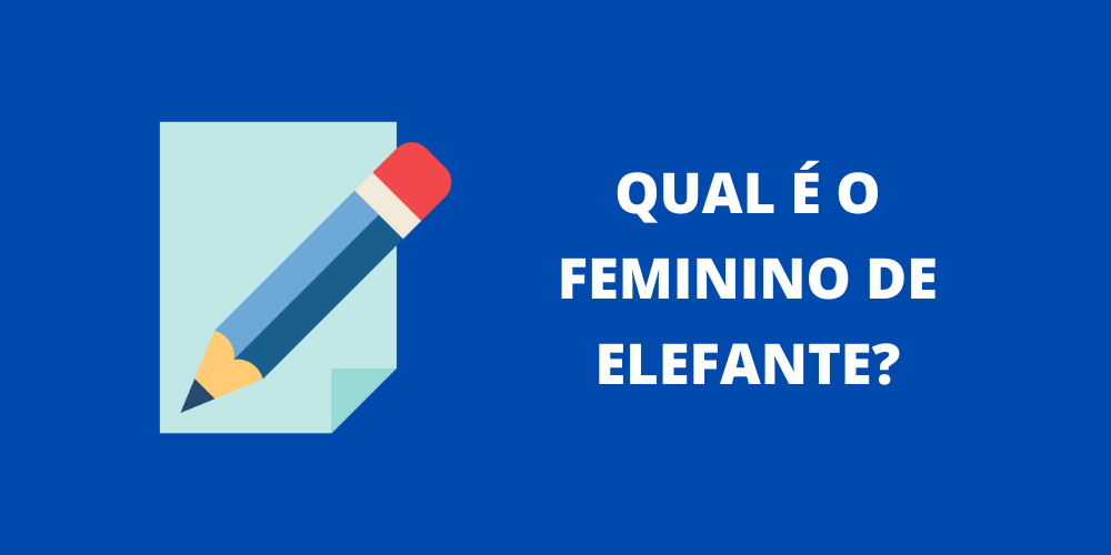 feminino de elefante